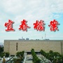 宜春档案ico