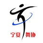 宁夏舞蹈家协会ico