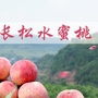 龙泉驿长松村青年ico