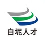白坭人才ico