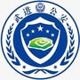 平安鸣凰微警务ico