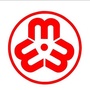 茌平妇联ico