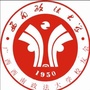 西南政法大学广西校友会ico