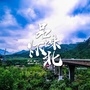 品味怀北ico