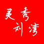 灵秀刘湾ico