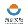 东新文旅ico