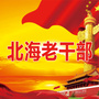 北海老干部ico