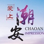 爱上潮安ico