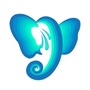 阳光特例ico