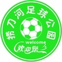 捞刀河足球体育公园ico