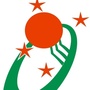 新湖新星ico