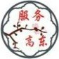 服务高东ico