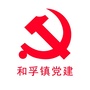 和孚镇党建ico