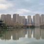今日塘湾ico