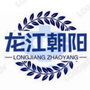 龙江朝阳ico