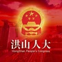洪山人大ico