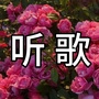 黄河情歌ico