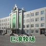 巨浪牧场ico