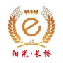 阳光长桥ico
