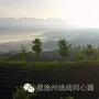 恩施州统战同心圆ico
