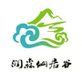 海南润森仙居谷文化旅游区ico