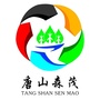 时代汽车唐山森茂ico