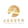 山西省琵琶艺术网公众号ico