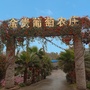 金贵葡萄ico