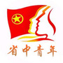 江苏省中医院杏林青年公众号ico