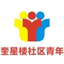 郫筒街道奎星楼社区青年ico