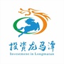 投资龙马潭ico