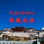 西藏政法ico