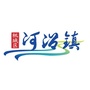 衡水市桃城区郑家河沿镇人民政府ico