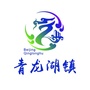 大美青龙湖ico