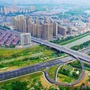 美丽上派ico