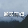 通关在线公众号ico