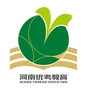 河南优考教育公众号ico