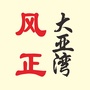 风正大亚湾ico