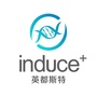 英都斯特ico