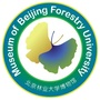 北京林业大学博物馆ico
