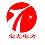宝光电力ico