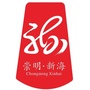 生态美丽幸福新海ico