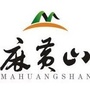 最美麻黄山ico