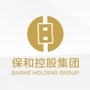 保和控股ico