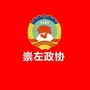 崇左政协ico