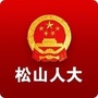 松山人大ico
