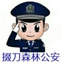 掇刀森林公安ico