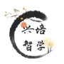 兴培智学ico