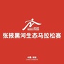 张掖黑河生态马拉松赛公众号ico
