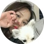 山东人相聚ico
